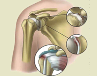 knee-inside-view